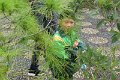 IMG_0088