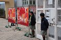 IMG_0798