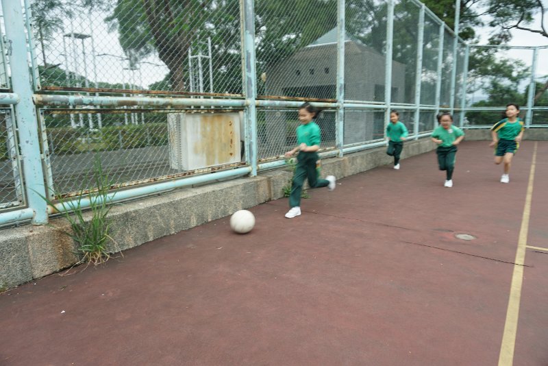 SMP00956.JPG