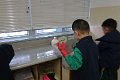 IMG_0357