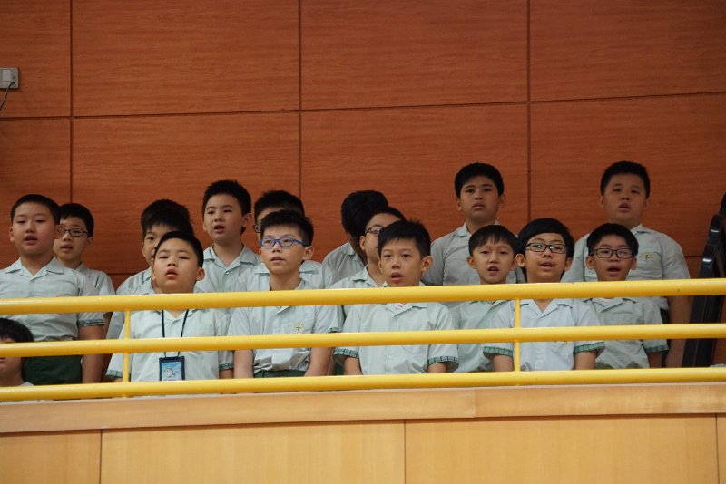 SMP03223.JPG