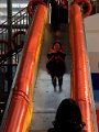 IMG_2617