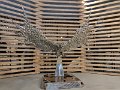 IMG_20190412_145837