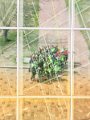 IMG_20190413_133818-01