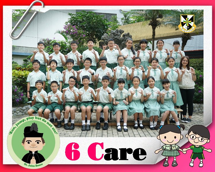 6C.jpg
