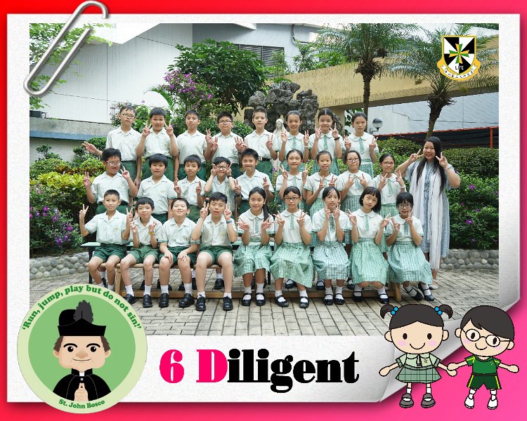 6D.Jpg