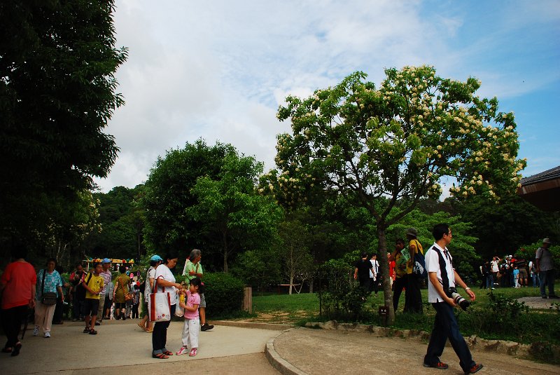 DSC_4312.JPG