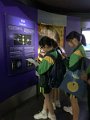 IMG_4531