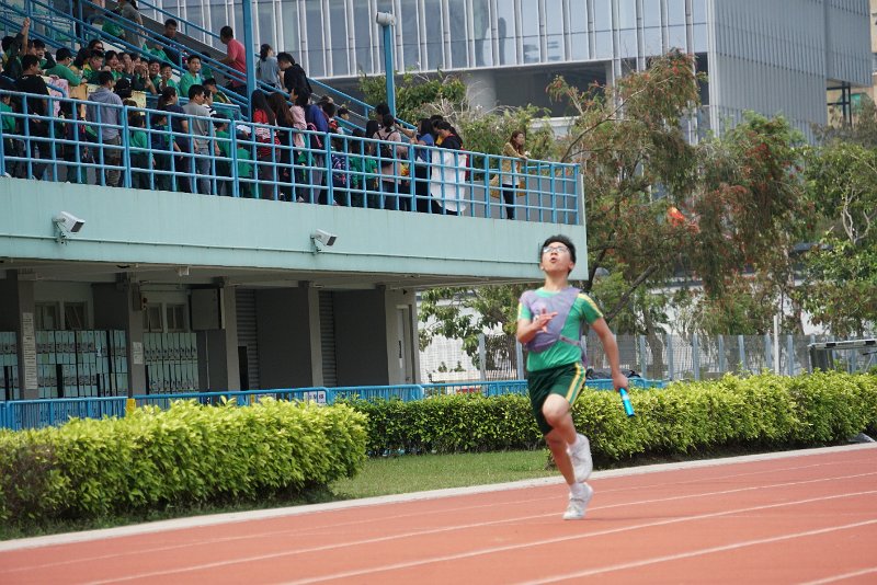 SMP02726.JPG