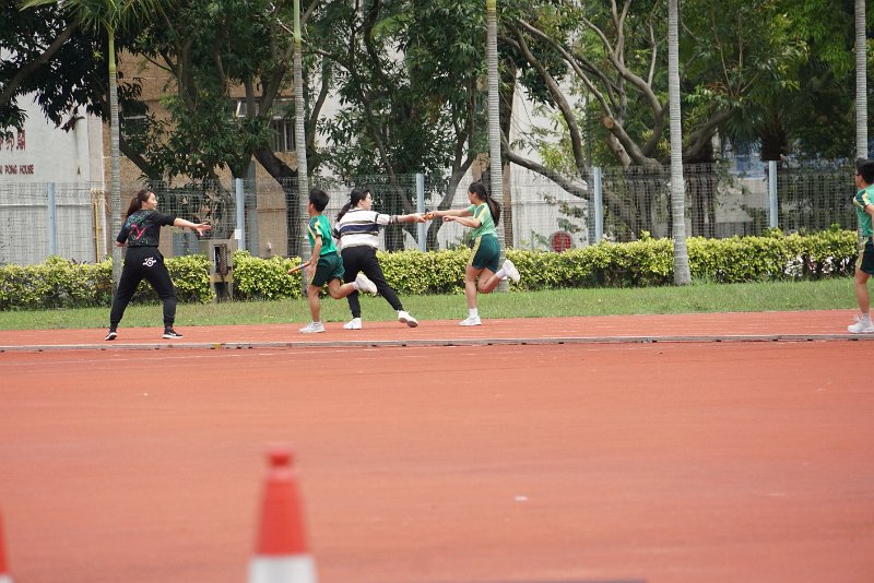 SMP02823.JPG