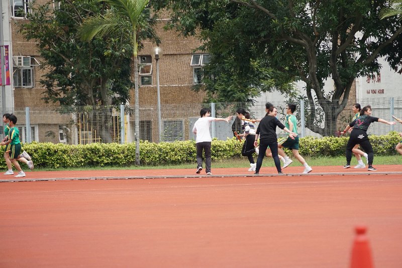 SMP02833.JPG