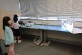 IMG_5912