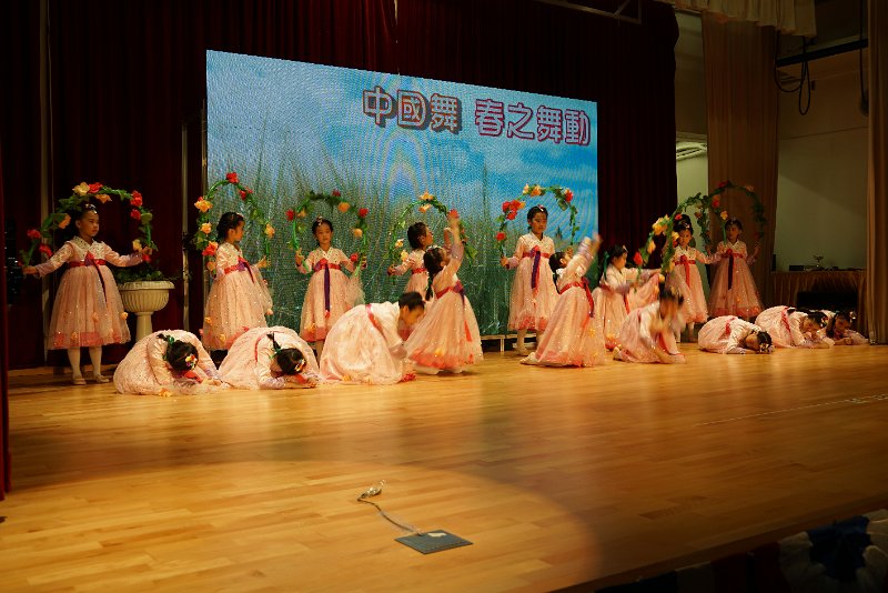 SMP03541.JPG