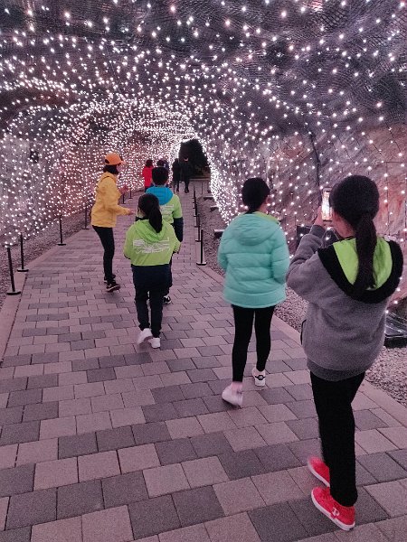 IMG_20190412_154208.jpg