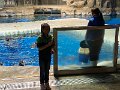 IMG_9115