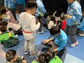 IMG_9136