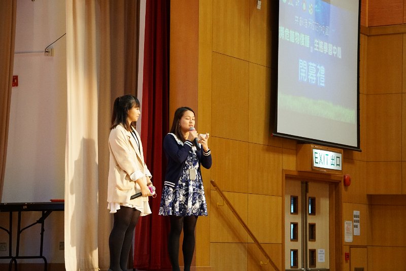 SMP03850.JPG
