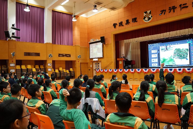 SMP03954.JPG