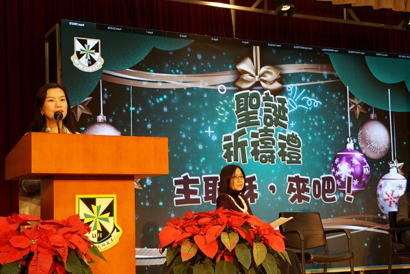 SMP04096.JPG
