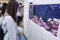CPS00409