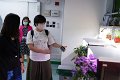 CPS00411