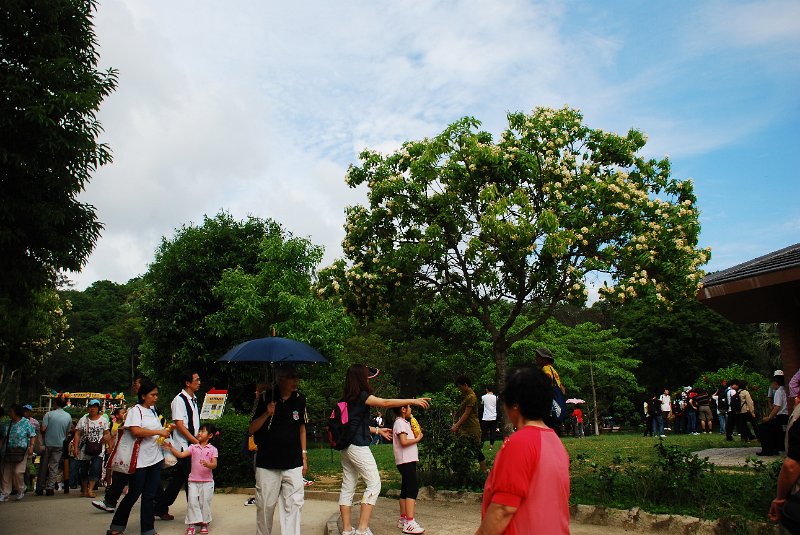DSC_4311.JPG