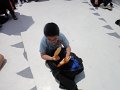 DSC01011