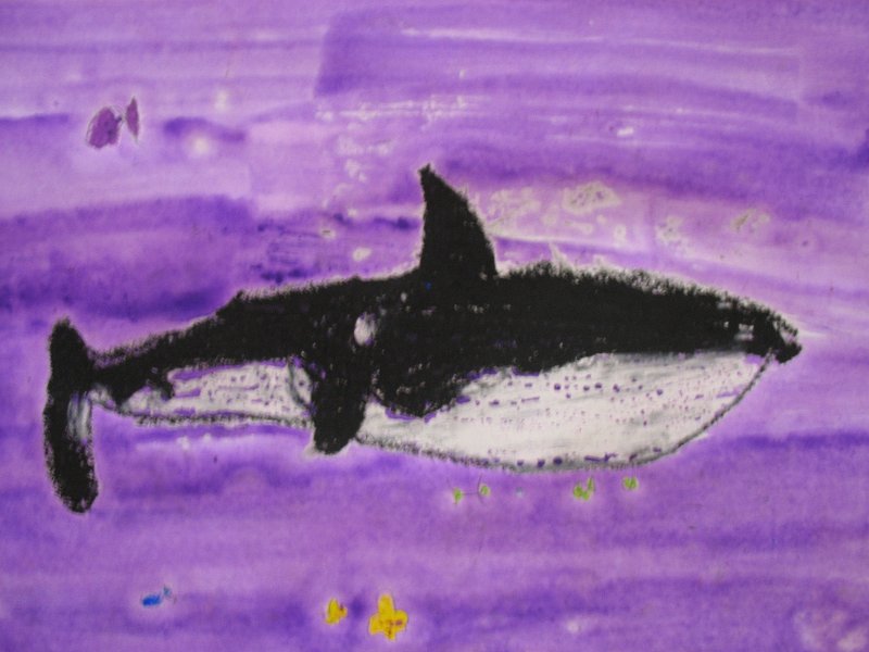 譚朗堅_深海之王_7歲.JPG