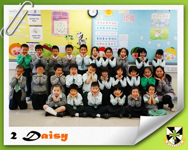 P2D.jpg