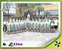 P6E